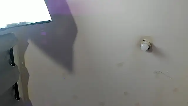 Ambeer fox  online show from February 23, 7:55 pm