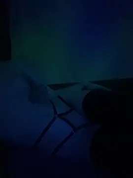 gjollyros online show from February 18, 8:16 pm