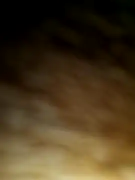 WolfMenSL online show from October 8, 3:37 am