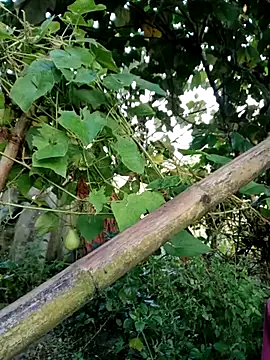 kemtuoi-sex online show from October 4, 11:58 pm