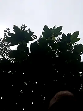 kemtuoi-sex online show from October 19, 11:05 pm