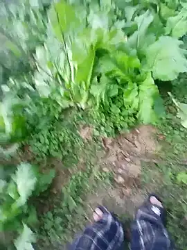 Snapshot of kemtuoi-sex chatting on January 17, 10:31 am kemtuoi-sex online show from January 17, 10:31 am