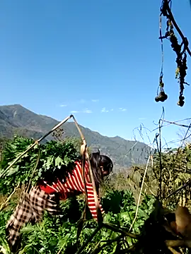 Snapshot of kemtuoi-sex chatting on February 5, 8:08 am kemtuoi-sex online show from February 5, 8:08 am