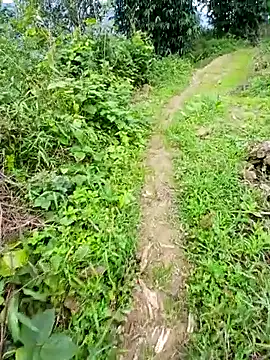 kemtuoi-sex online show from June 7, 3:21 am