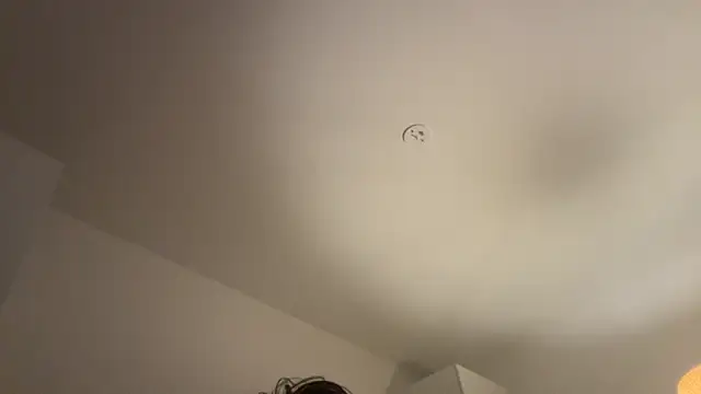 Swedishfish69 online show from February 8, 4:32 pm