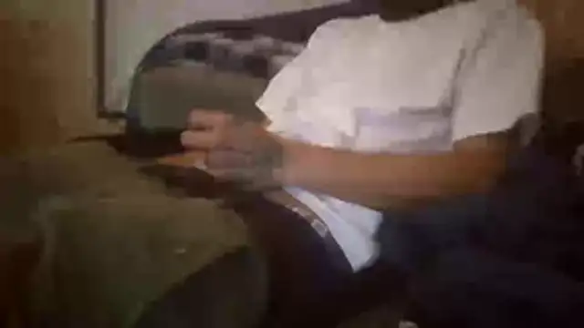 Sillycatfish online show from November 7, 11:10 am