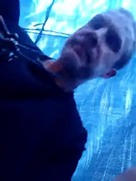 Snapshot of Mrdano0000 chatting on March 27, 5:34 pm Mrdano0000 online show from March 27, 5:34 pm