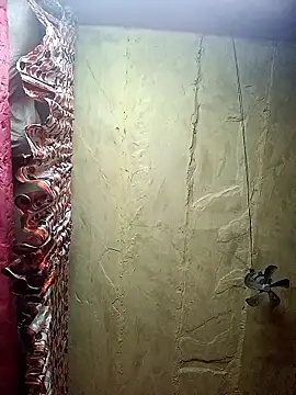 Suman ji1 online show from November 3, 2:18 pm