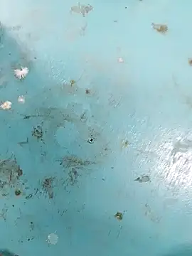 haryanaboypanipat12 online show from April 9, 7:25 am