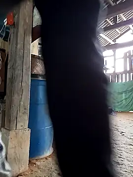 Snapshot of bonnie-00 chatting on October 27, 2:26 am bonnie-00 online show from October 27, 2:26 am