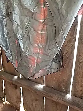 Snapshot of bonnie-00 chatting on November 4, 3:16 am bonnie-00 online show from November 4, 3:16 am