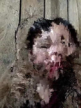 Snapshot of bonnie-00 chatting on November 15, 11:40 am bonnie-00 online show from November 15, 11:40 am