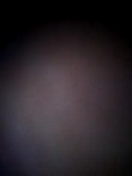 thehotlady online show from October 24, 8:44 am