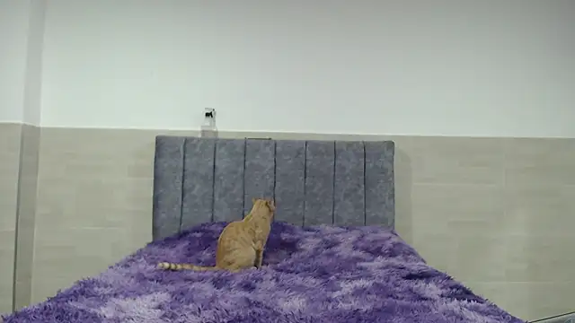  ruby red online show from November 20, 2:45 am