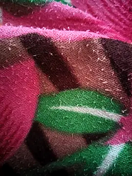 Snapshot of bold_guy_1234 chatting on October 15, 5:07 am bold guy 1234 online show from October 15, 5:07 am