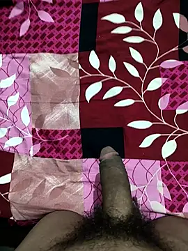 Snapshot of bold_guy_1234 chatting on October 22, 9:03 pm bold guy 1234 online show from October 22, 9:03 pm