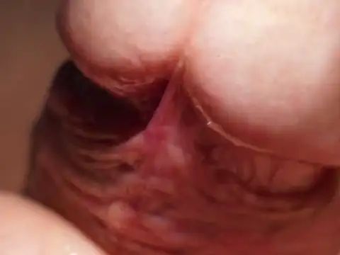 Kadazano online show from April 7, 3:01 pm