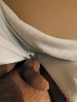 verjaya online show from November 15, 10:26 pm