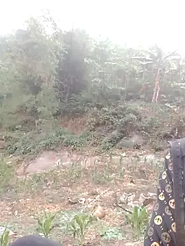 Snapshot of donna-bae chatting on April 12, 10:09 am donna-bae online show from April 12, 10:09 am