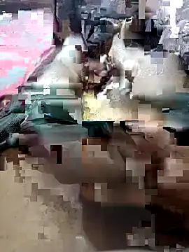 Snapshot of UnbowedAgronomy chatting on February 14, 10:50 pm UnbowedAgronomy online show from February 14, 10:50 pm