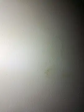 Snapshot of BigD_Mikee chatting on December 17, 4:46 pm BigD Mikee online show from December 17, 4:46 pm