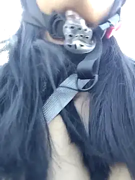 MILA  06 online show from November 26, 12:06 pm