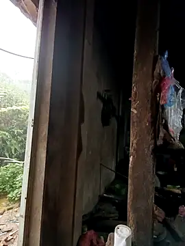 Snapshot of tulipsexy chatting on October 16, 12:44 am tulipsexy online show from October 16, 12:44 am