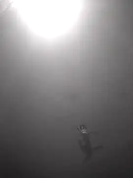 Snapshot of Hott_cutgirl chatting on October 16, 12:33 am Hott cutgirl online show from October 16, 12:33 am