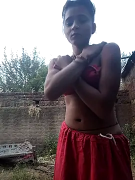 R Roshni online show from November 19, 11:43 am