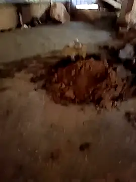 callistra online show from January 13, 6:51 am