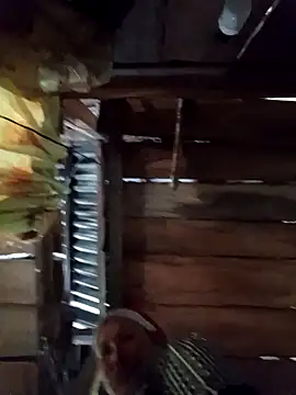 callistra online show from April 9, 4:34 am