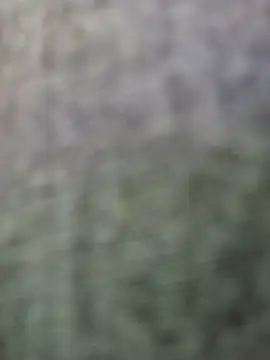 JeffersonRay online show from January 7, 1:52 am