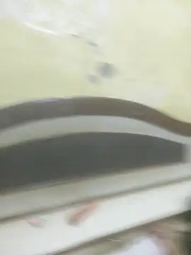 Cute-Charvii online show from November 28, 6:38 am