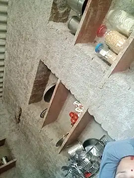 Snapshot of M-Kajal456 chatting on October 11, 11:31 am M-Kajal456 online show from October 11, 11:31 am