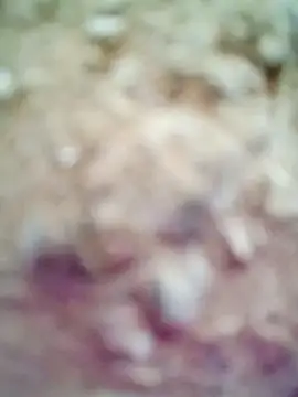 Snapshot of M-Kajal456 chatting on November 4, 3:49 am M-Kajal456 online show from November 4, 3:49 am