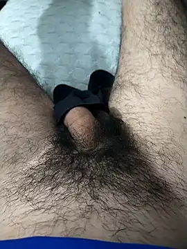 Mizo200 online show from November 8, 7:56 pm