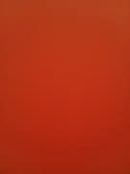 Veronica13 online show from January 5, 7:06 pm