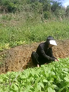 Norah-h online show from October 30, 2:24 am