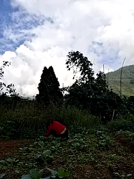 diamond-- online show from November 15, 1:36 am