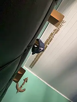 Snapshot of Ayla_wiens chatting on December 16, 2:33 pm Ayla wiens online show from December 16, 2:33 pm