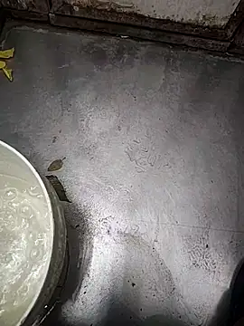 telugumodda4396 online show from November 12, 1:50 am