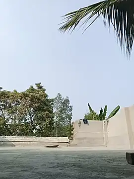 reya743 online show from February 3, 9:47 am