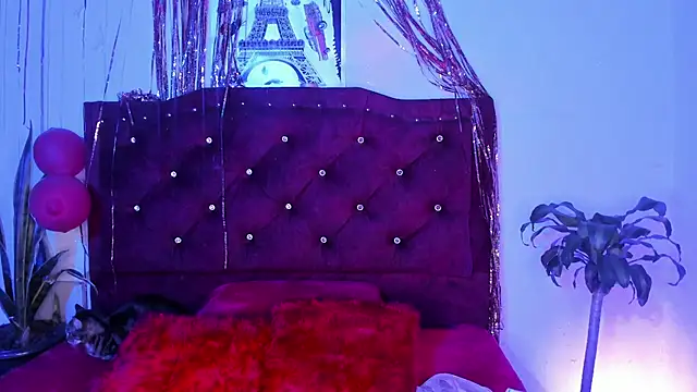 kitty  chs online show from March 1, 4:36 am