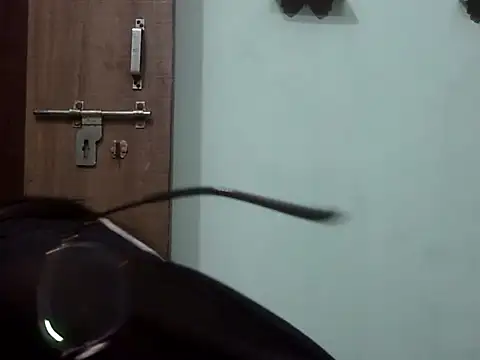 Lusty Shreya  online show from November 22, 5:17 am