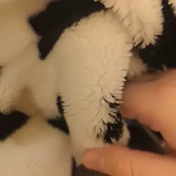 Geilerboy262 online show from November 15, 10:15 pm