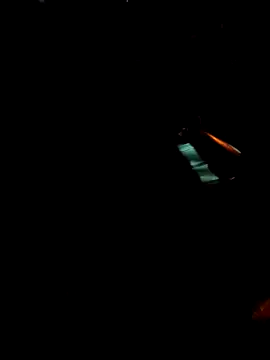 Gigolo31per31 online show from October 18, 2:25 am