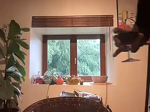 chtentation online show from February 14, 2:03 pm