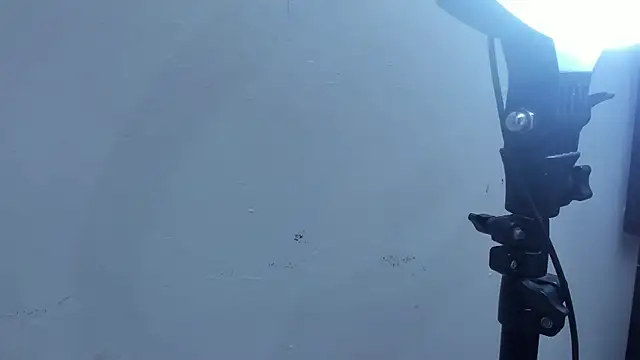 Kevinfox23cms online show from November 11, 6:46 am