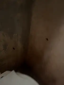 favelado33 online show from September 26, 4:22 pm