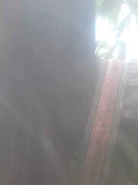 bree-zz online show from November 10, 1:48 am